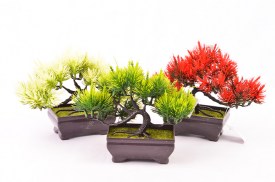 Mini bonsai 3 colores 3203 (1).jpg